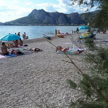 アパート Kate オミシュ